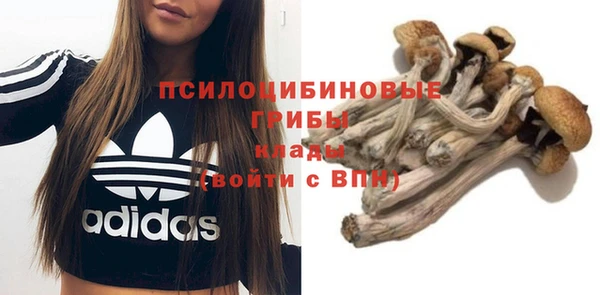 гидропоника Аркадак