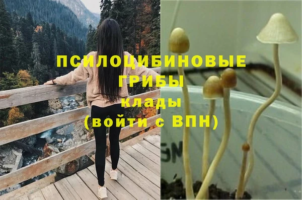 гидропоника Аркадак