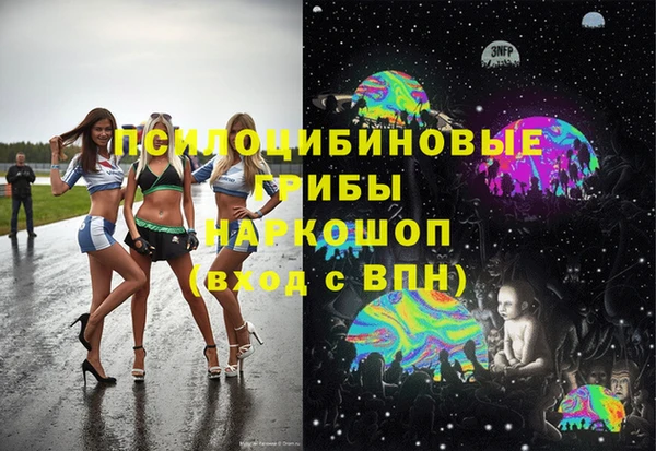 прущие грибы Алексин