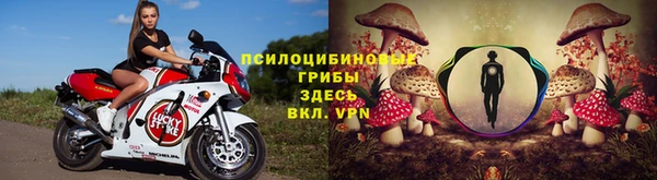 гидропоника Аркадак