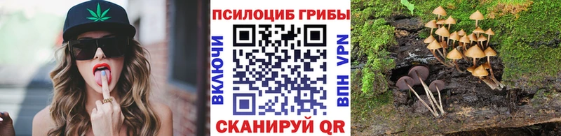 Купить закладки  Мегион  Галлюциногенные грибы ЛСД 